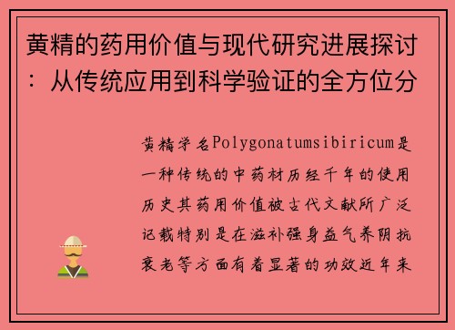 黄精的药用价值与现代研究进展探讨:从传统应用到科学验证的全方位分析