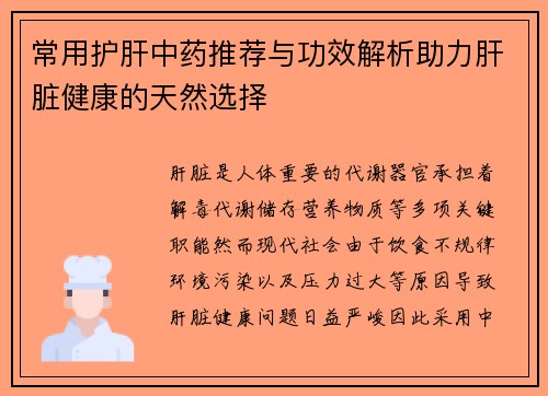 常用护肝中药推荐与功效解析助力肝脏健康的天然选择